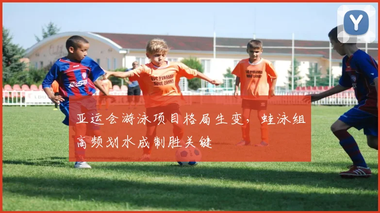 亚运会游泳项目格局生变,蛙泳组高频划水成制胜关键