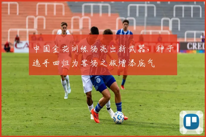 中国金花训练场亮出新武器，种子选手回归为客场之旅增添底气