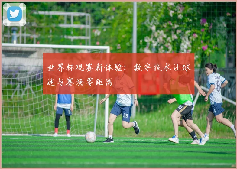 世界杯观赛新体验:数字技术让球迷与赛场零距离