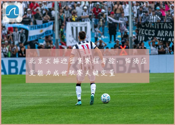 北京女排迎密集赛程考验，临场应变能力成世联赛关键变量 - 搜狐体育