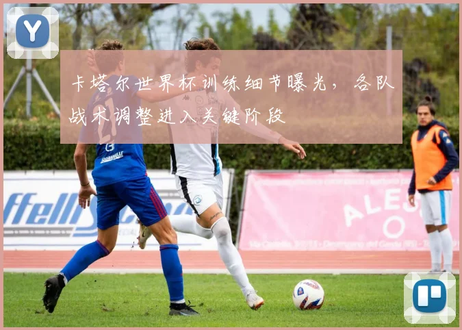 卡塔尔世界杯训练细节曝光,各队战术调整进入关键阶段
