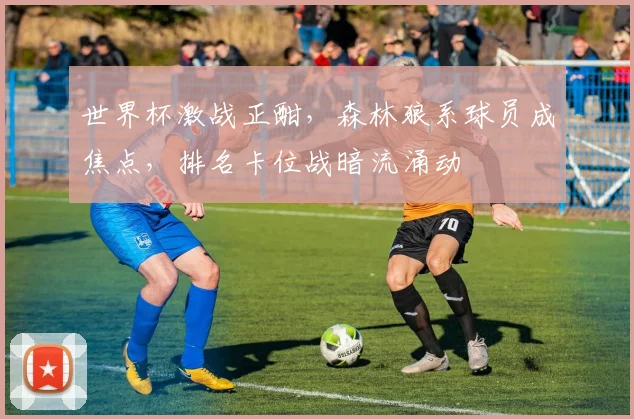世界杯激战正酣,森林狼系球员成焦点,排名卡位战暗流涌动