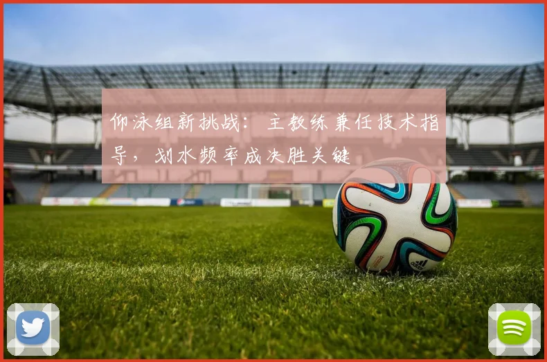 仰泳组新挑战:主教练兼任技术指导,划水频率成决胜关键