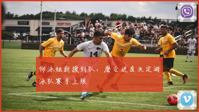 仰泳组新援到队,磨合进度决定游泳队赛季上限
