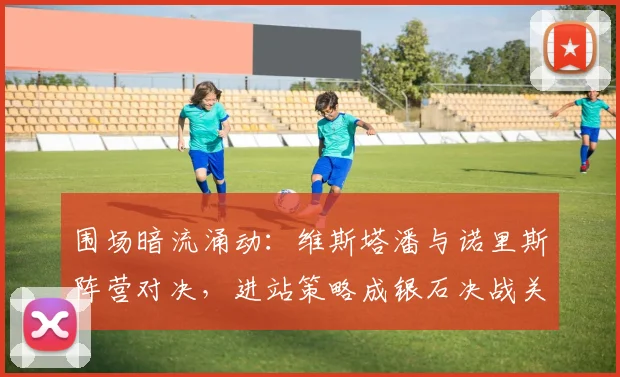 围场暗流涌动：维斯塔潘与诺里斯阵营对决，进站策略成银石决战关键 - 搜狐体育