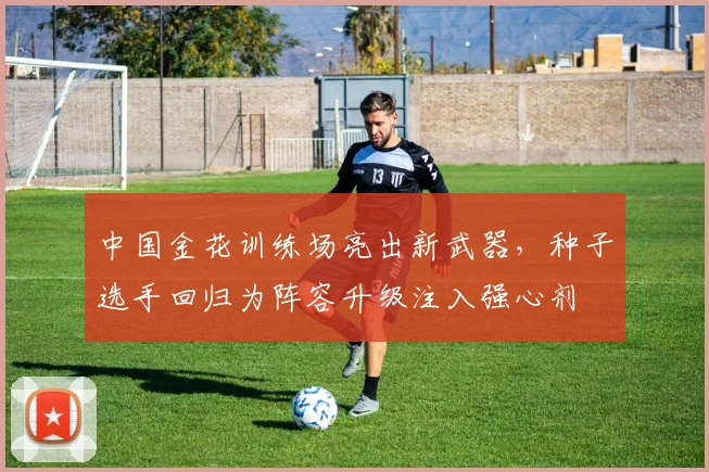 中国金花训练场亮出新武器，种子选手回归为阵容升级注入强心剂