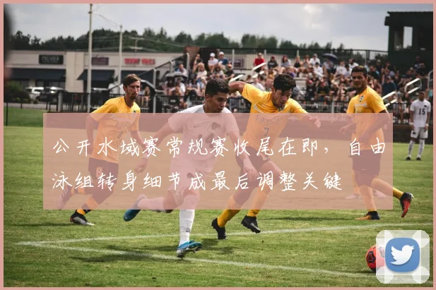 公开水域赛常规赛收尾在即，自由泳组转身细节成最后调整关键 - 搜狐体育